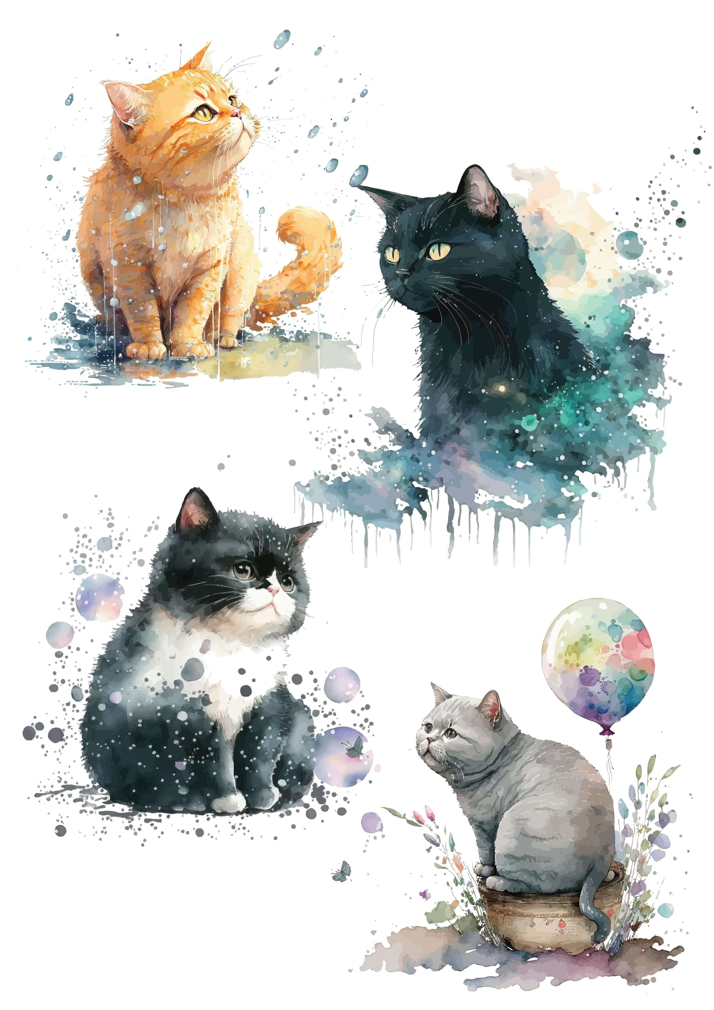 Nažehlovačky Kočky