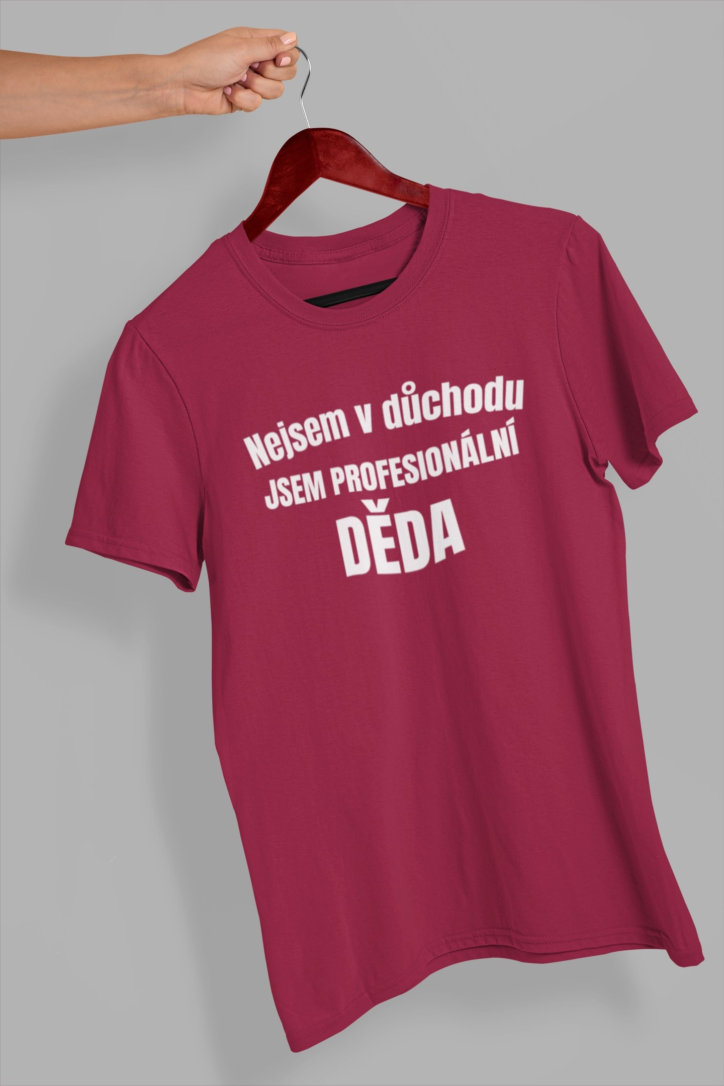 Pánské tričko Profesionální děda