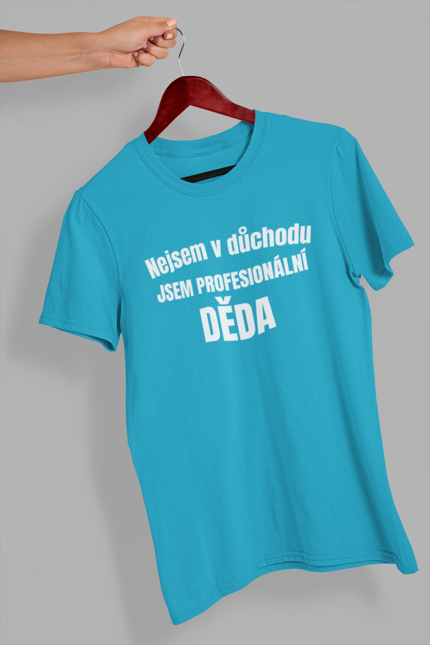 Pánské tričko Profesionální děda