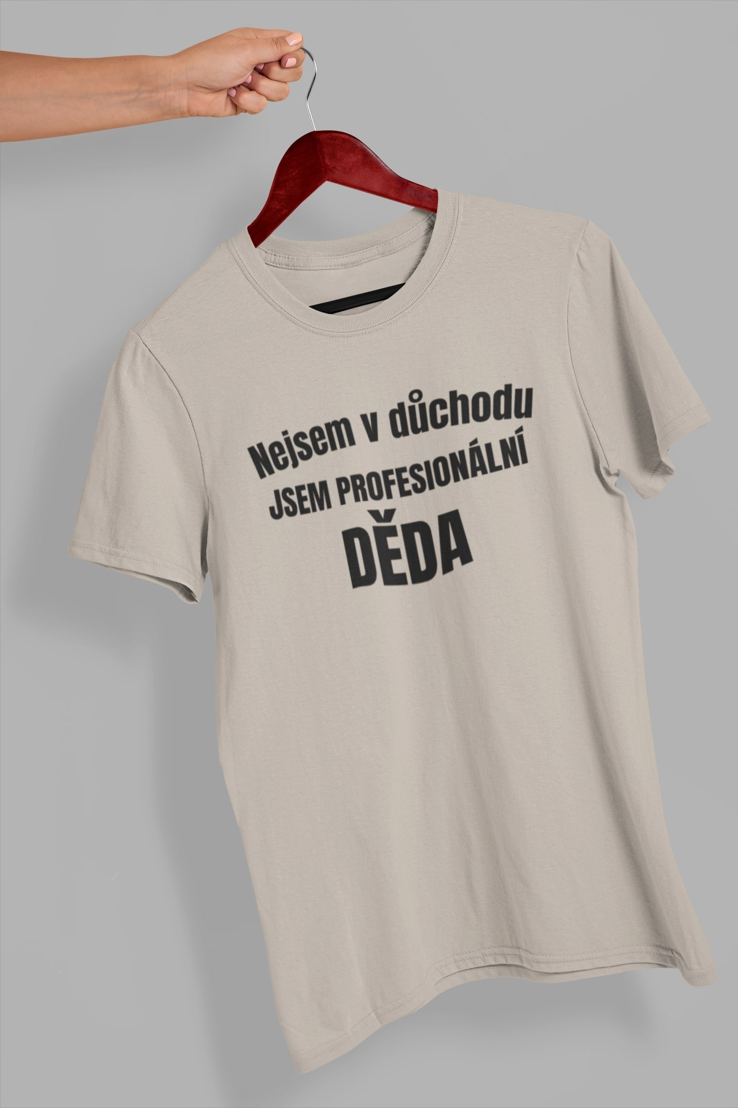 Pánské tričko Profesionální děda Barva: Ledově šedá, Velikost: 4XL