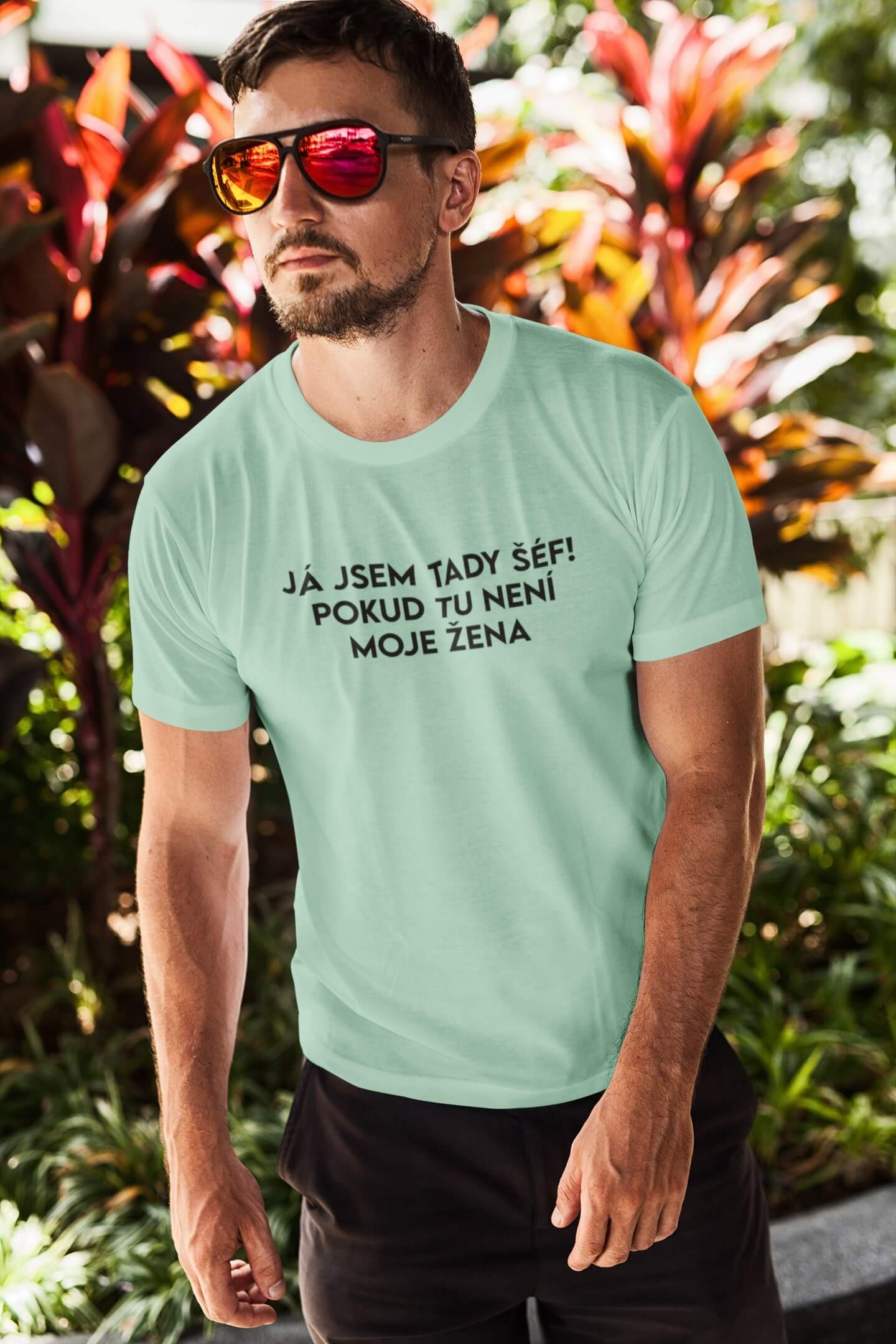 Pánské tričko JÁ JSEM TADY ŠÉF! Barva: Mätová, Velikost: 2XL