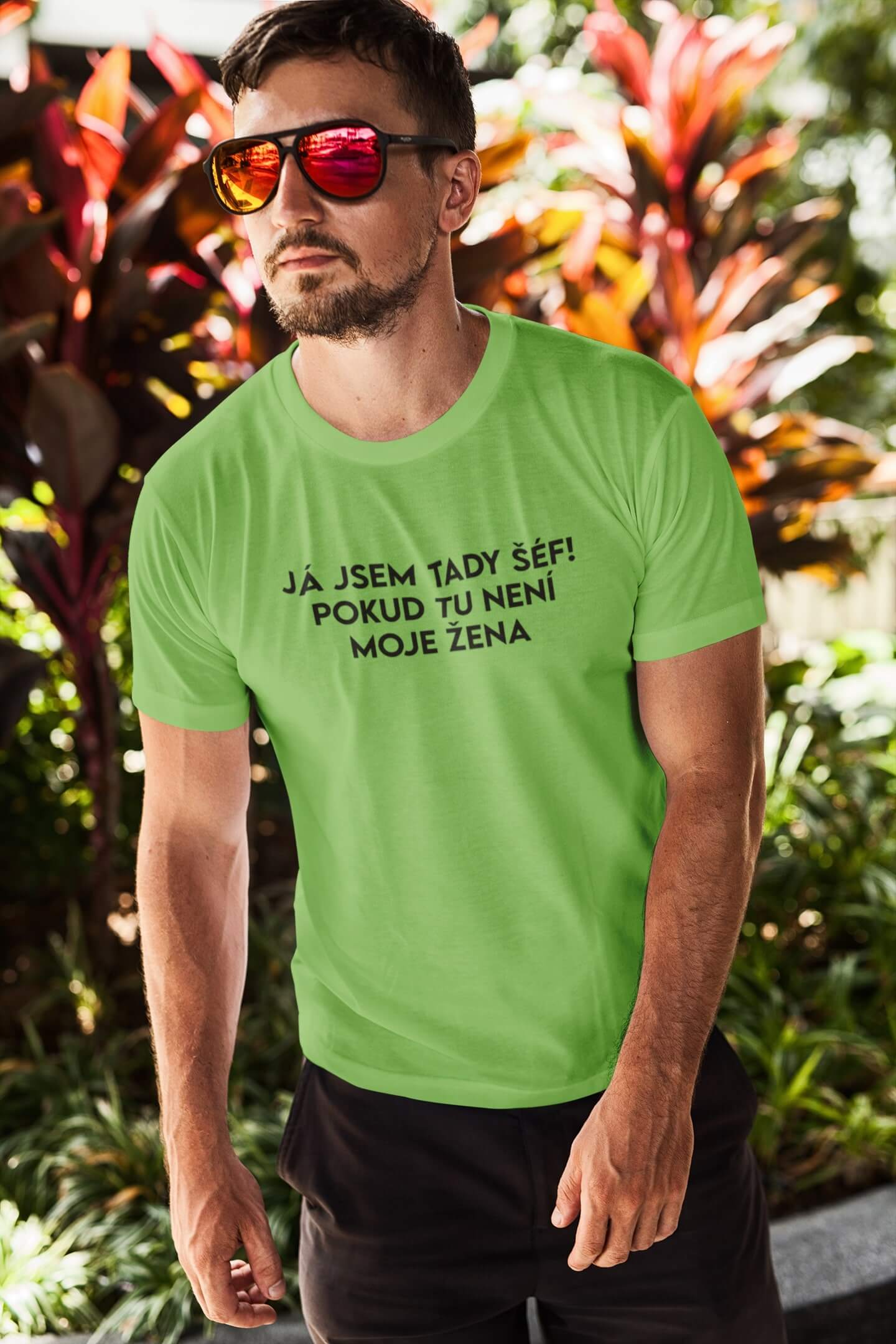 Pánské tričko JÁ JSEM TADY ŠÉF! Barva: Hrášková zelená, Velikost: L