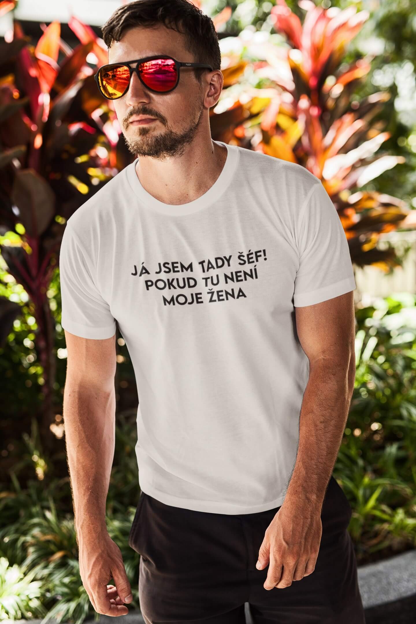 Pánské tričko JÁ JSEM TADY ŠÉF! Barva: Ledově šedá, Velikost: L