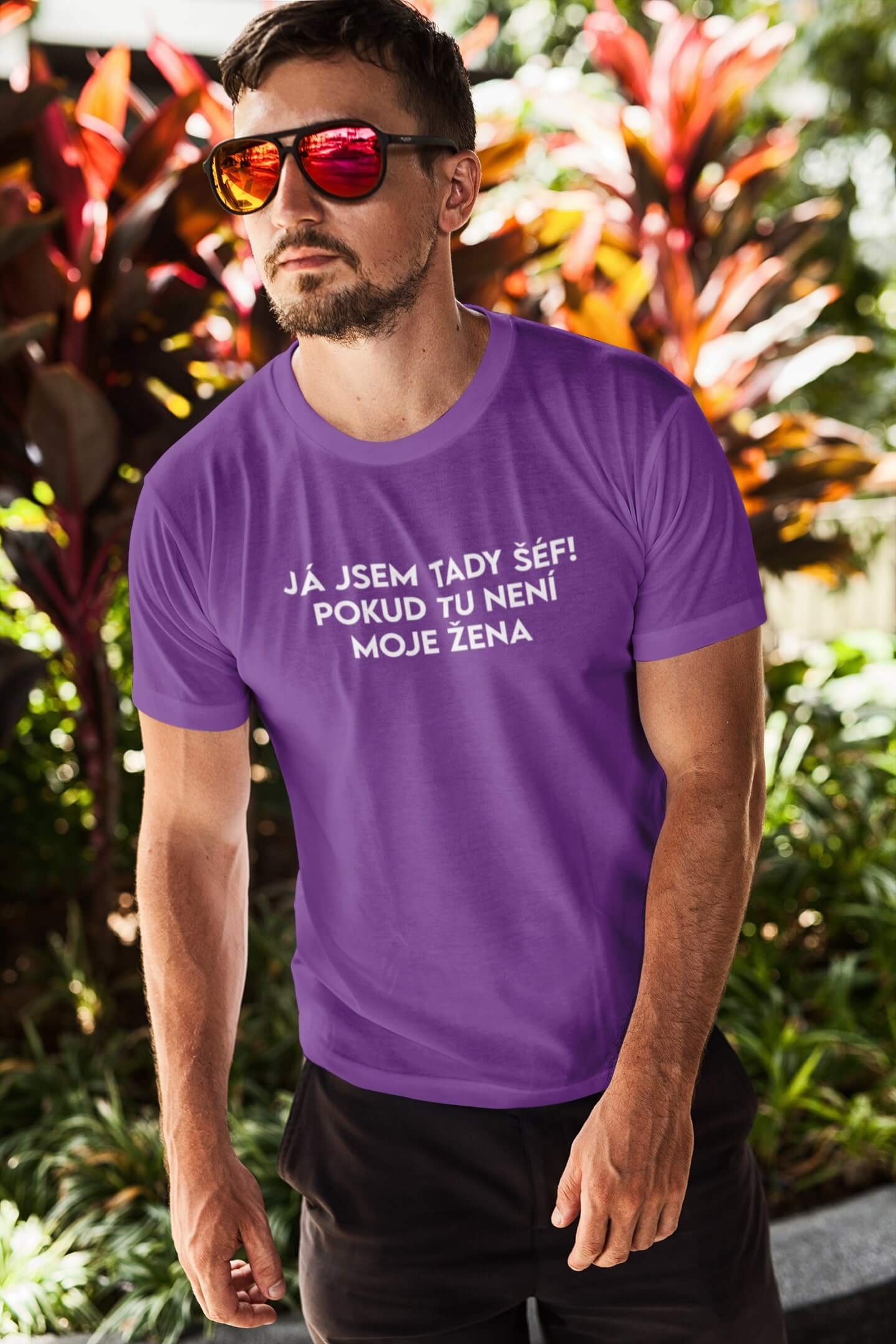 Pánské tričko JÁ JSEM TADY ŠÉF! Barva: Fialová, Velikost: 3XL