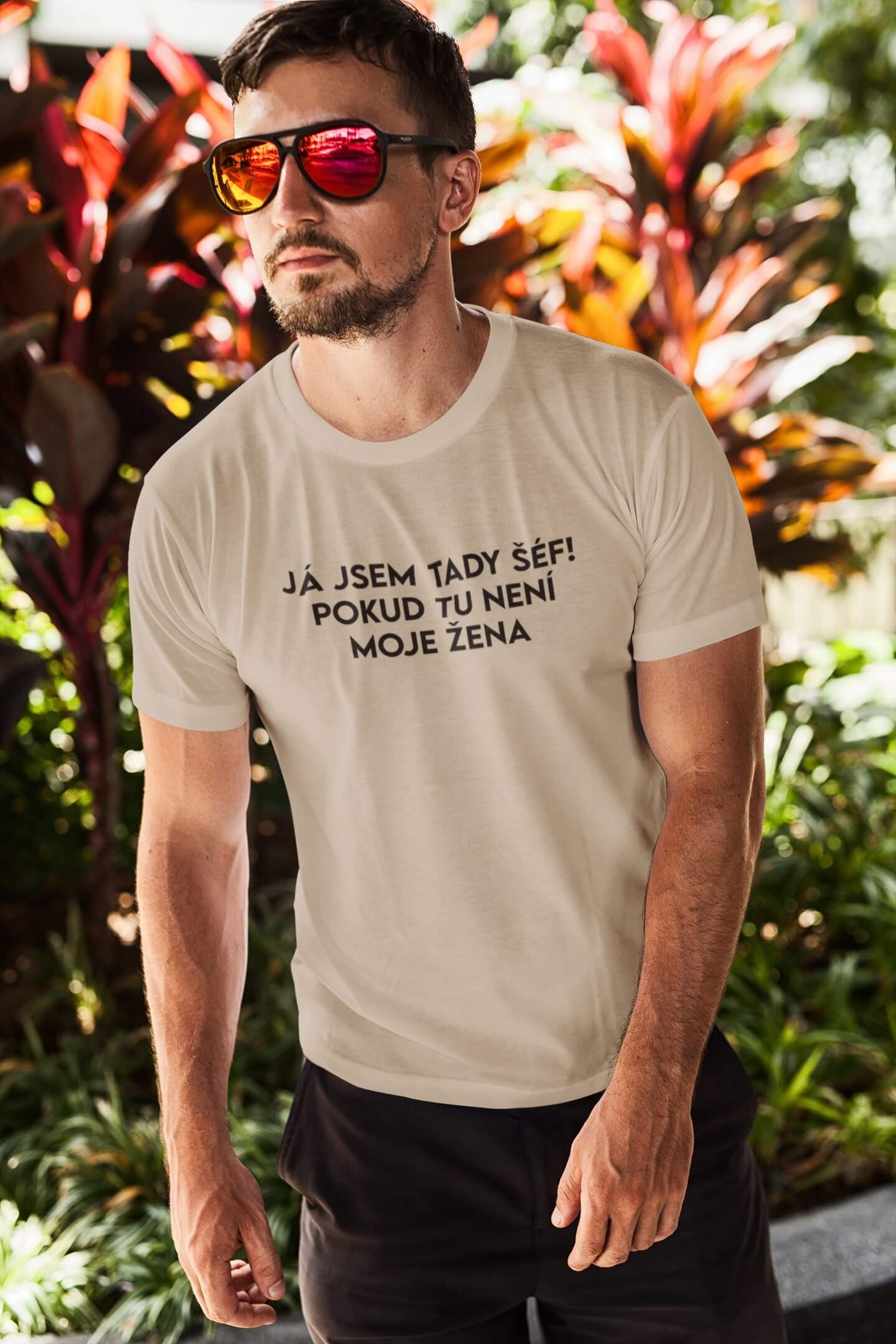 Pánské tričko JÁ JSEM TADY ŠÉF! Barva: Písková, Velikost: 2XL
