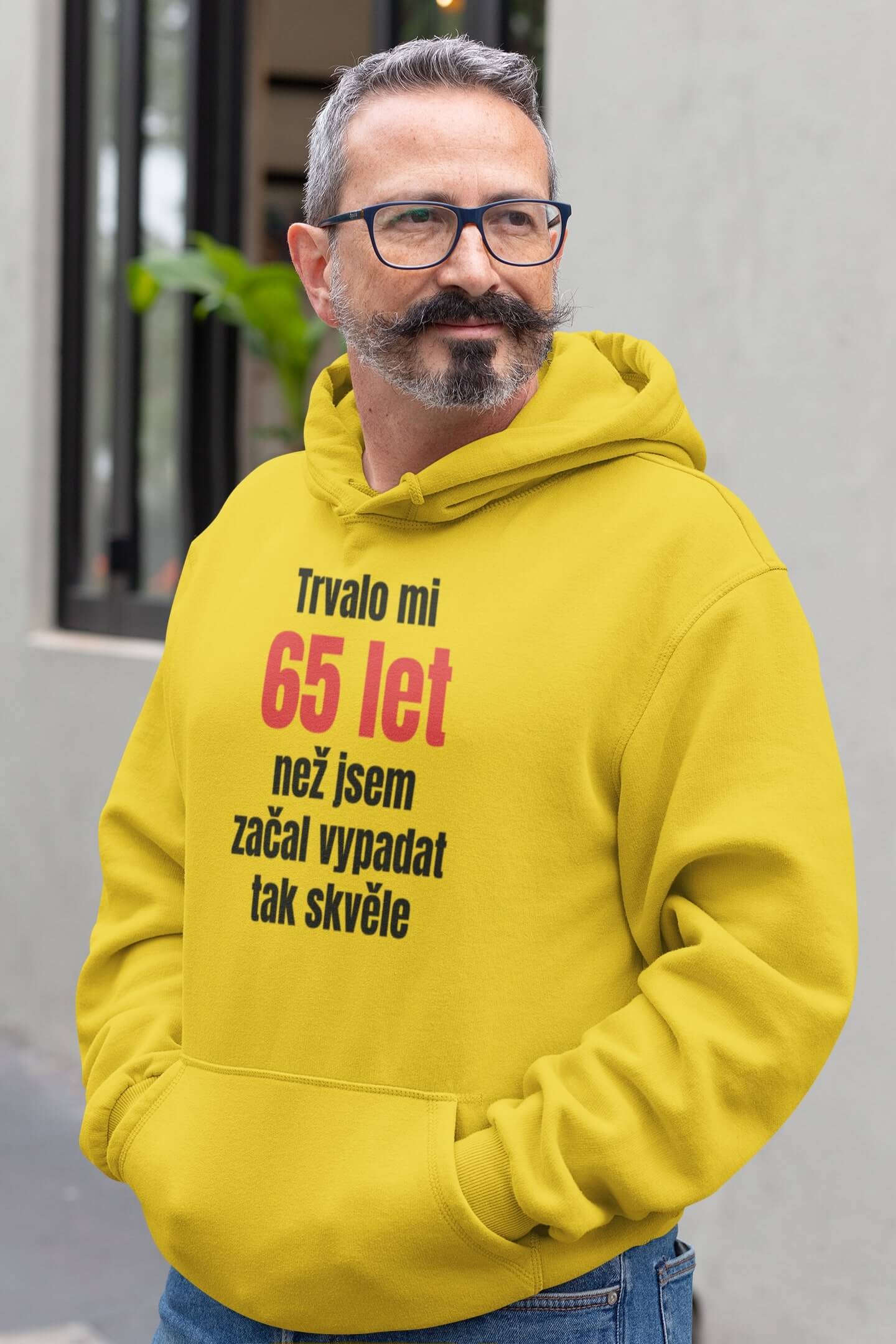 Pánská mikina Trvalo mi 65 let