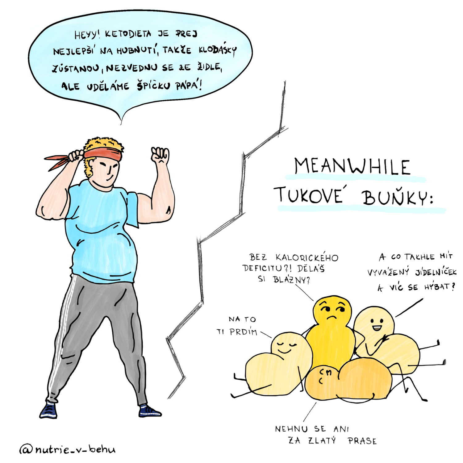 Plavková sezóna se blíží