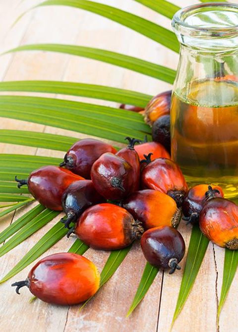 Palmový olej a jeho účinky na vaše zdraví