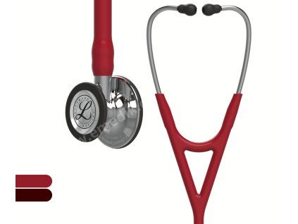 cardiology iv mirror