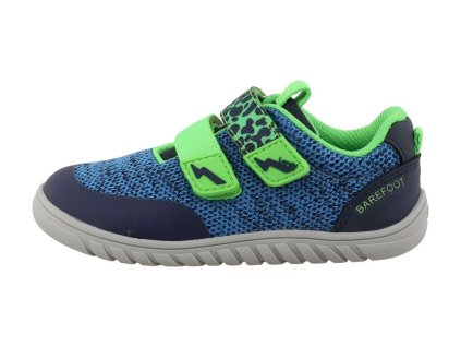 84L0023006blue lime image1