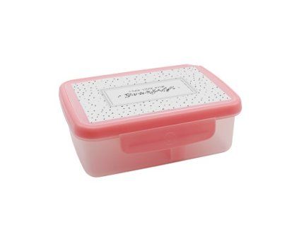 zdrava svaca box scandi ruzova 700