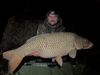 Další závodní kousek, který neodolal Kouzelnému Fénixovi👏💪Chilli ty ryby prostě milují!!! @lubosroza