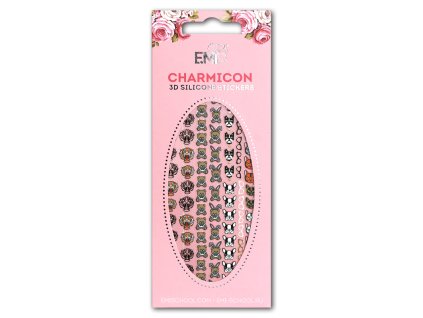 Charmicon #61 Icons