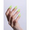 Nexus Gel 04