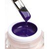 Gel Paint Violet Rays 1200х1500 (1)