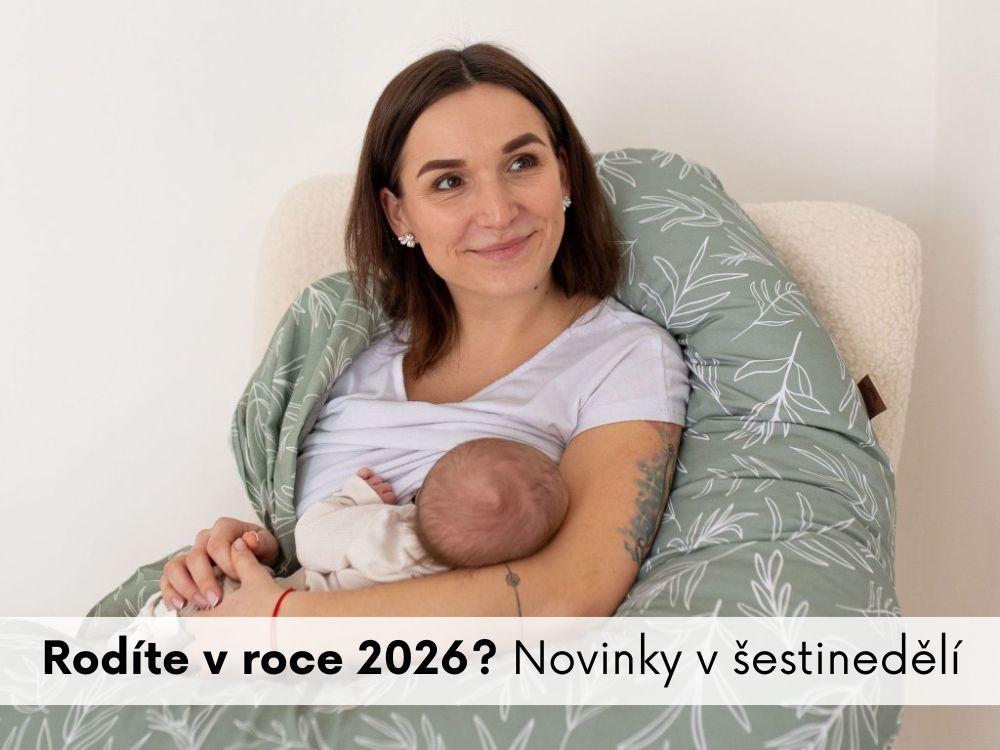 3 návštěvy porodní asistentky zdarma v roce 2026: na co máte nárok a jak se na to připravit