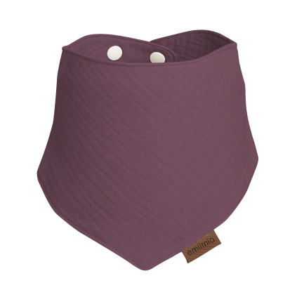 slintáček svestkova