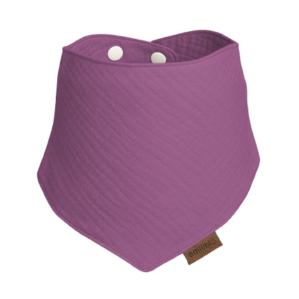 slintáček fialový