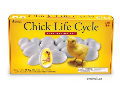 2733 chicklifecycle 22e0b4