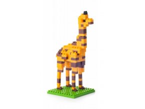 Žirafa , Brixie