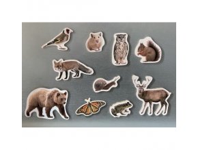 forest animals bamboo magnetic pieces