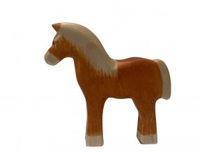 haflinger fohlen