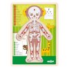 PUZZLE "LIDSKÉ TĚLO" ANATOMIE - HOLKA EN