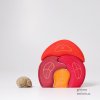 Gnome's House - Grimms