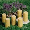 Zahradní brouci - Tvořivé hmatové a obtiskové válečky - Yellow door