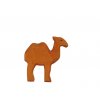 kamel klein