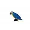 papagei blau