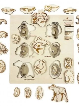 Objevte radost z jara s hravým učením! 🌱🧩 V březnových dnech, kdy se příroda probouzí k životu, je ideální čas podpořit...