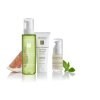 Eminence Organics Acne Advanced Collection Fruit&Mint