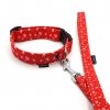 Ploche voditko Foofoo Design Paw Red SET 01