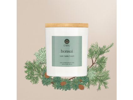 2 sklo bonsai
