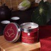 2 plechacek pumpkin mooncake