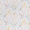 ESTELLA LENE multicolor - mako satén