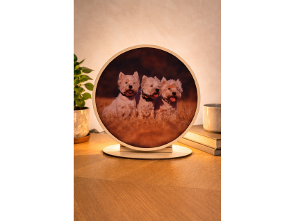 35411EAE E210 4B5C 9A8D 48D86F122036