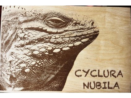 efa493f2 853d 406e 9b5b c5ae6399ad8d