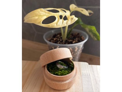 664847C1 0D67 4741 A15C 6AF1F29E3498