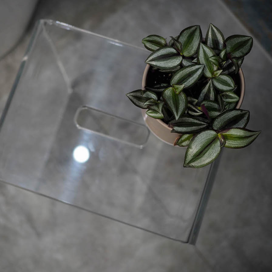 Květiny do koupelny