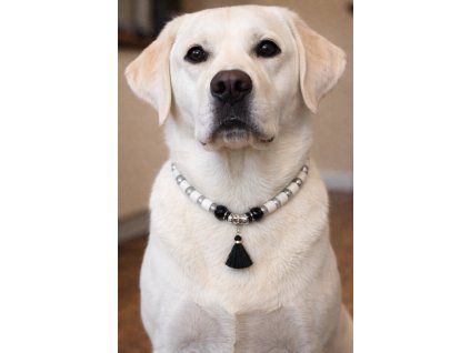 3C9F6C68 784E 4017 9582 099738F663C3