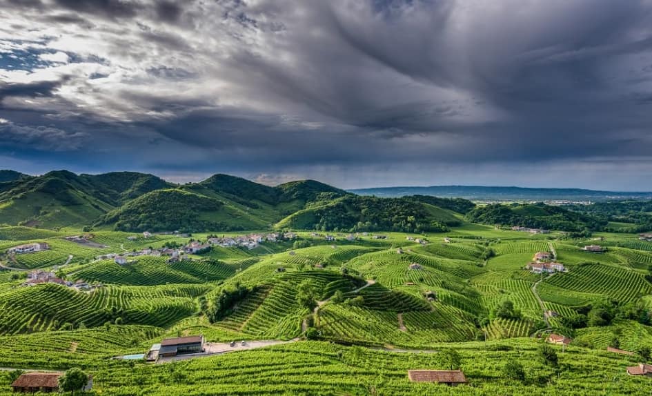 Proč je kvalita Prosecca vyšší v oblasti Cartizze?