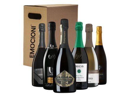 Degustační balíček Prosecco DOCG Extra Dry 6x0,75 l min