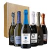 Degustační balíček Prosecco DOCG Dry 6x0,75 l