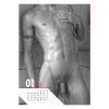Kalendář Pin-up Calendar HC Real Cocks 2023