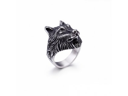 KR48275 K