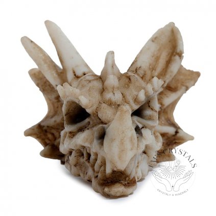 vyr 3851 DRG528 001 1669910520