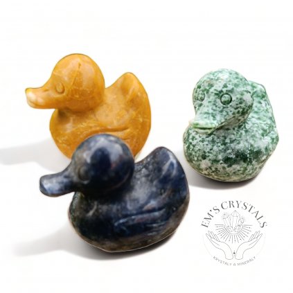 vyr 3988 IMG 20231018 153233 PhotoRoom