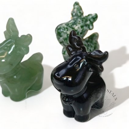 vyr 4279 IMG 20231124 121757 PhotoRoom